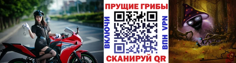 закладки  OMG как войти  Галлюциногенные грибы Magic Shrooms  Ивдель 